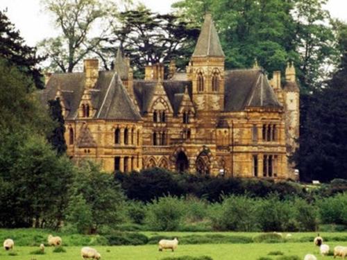 Bảo Lộc vui quên lối về chỉ với 500.000 đồng-5