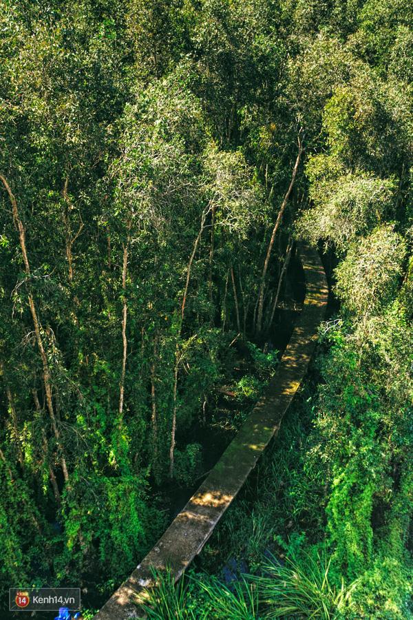 6 điểm picnic dã ngoại cho hội chiến binh vi vu đổi gió cuối tuần-10