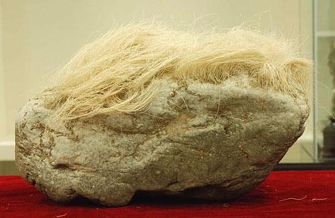 Mang cục đá mọc tóc trắng kỳ dị về nhà, người đàn ông giật mình khi phát hiện ra sự thật-1