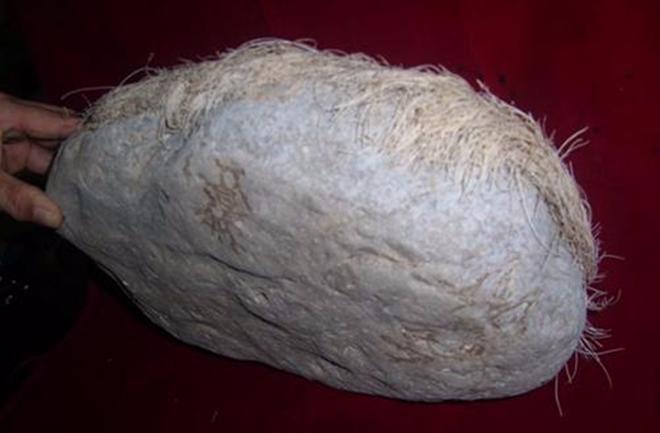 Mang cục đá mọc tóc trắng kỳ dị về nhà, người đàn ông giật mình khi phát hiện ra sự thật-5