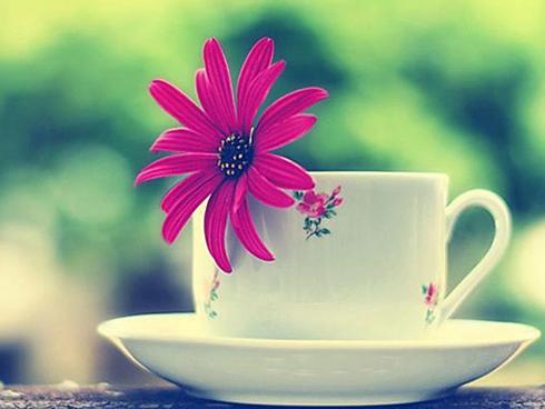 Thứ Bảy của bạn (21/10): Song Tử được lòng nhiều người