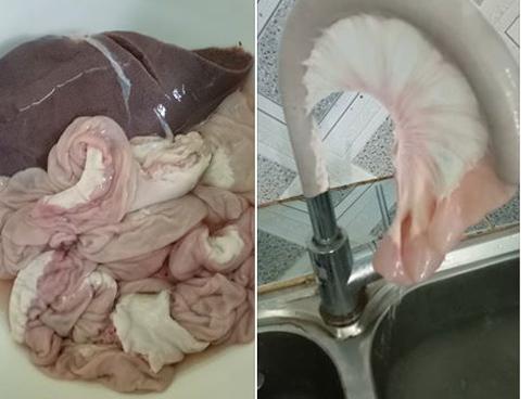 Bật mí công thức tái ngan gia truyền ăn là nghiện-5