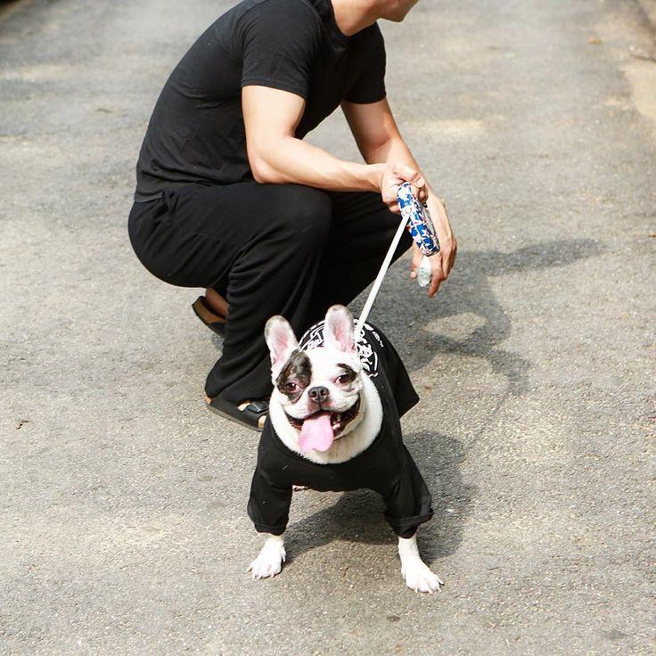 Gia đình CEO tử vong vì bị chó cưng nhà Siwon cắn bất ngờ lên tiếng-2