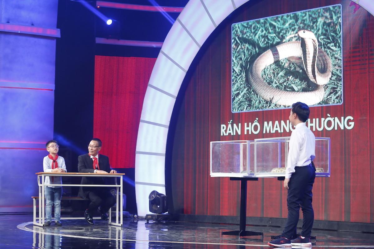 Thánh biết tuốt 6 tuổi vượt mặt MC Lại Văn Sâm trên sân khấu Mặt trời bé con-2