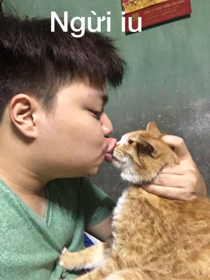 Ảnh hài: Cách sử dụng mèo bá đạo mà không phải ai cũng biết-4