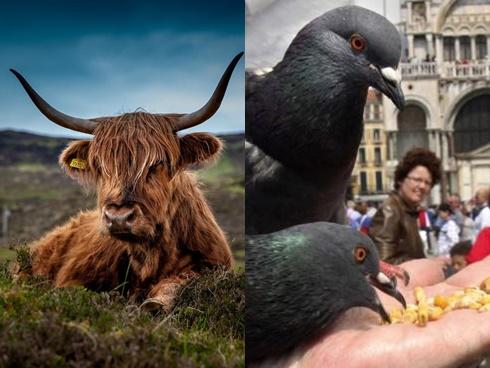 Cảnh quan hiếm thấy khi trời vào thu ở Hong Kong-6