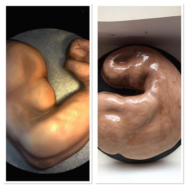 Đặt bánh sinh nhật bắp tay, cô gái khóc không thành tiếng khi nhận về chiếc bánh hình bộ lòng-2