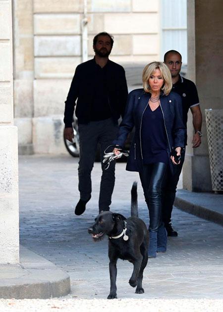 Chó cưng của Tổng thống Pháp đứng tè giữa cuộc họp cấp cao-3