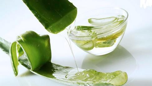 Cách chăm sóc da bằng nha đam tươi hiệu quả-1