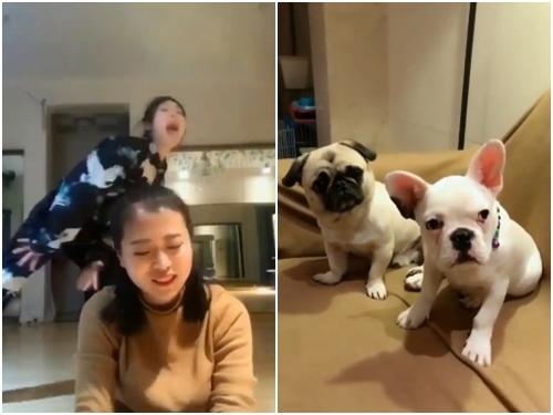 Chết cười với phiên bản 'trouble trouble' siêu bá đạo