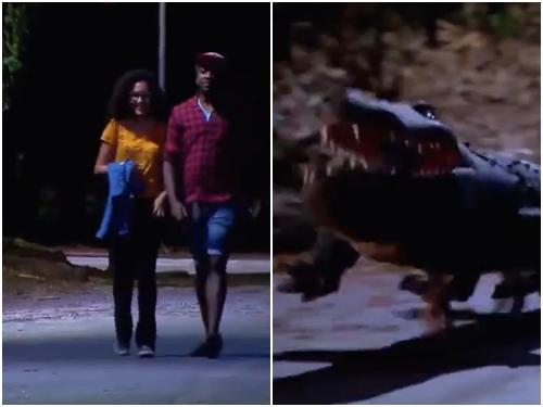 Clip hài: Trò chơi cá sấu lên bờ phiên bản 'cún cưng'