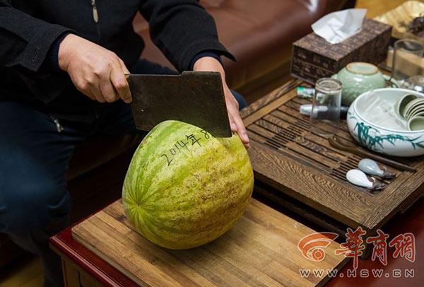 Bị bỏ quên suốt 3 năm, quả dưa hấu vẫn tươi nguyên như vừa hái-1