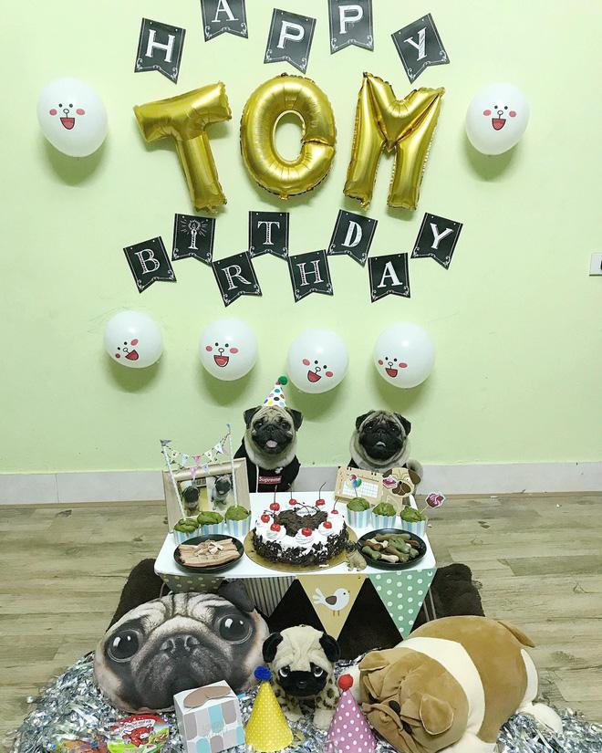 Em cún tên Tom 2 tuổi và tiệc mừng sinh nhật cực hoành tráng, còn mời cả bạn bè tới chơi-3
