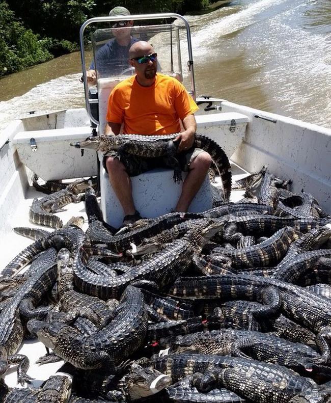 Hành động không giống ai của các quý ông hài hước-7