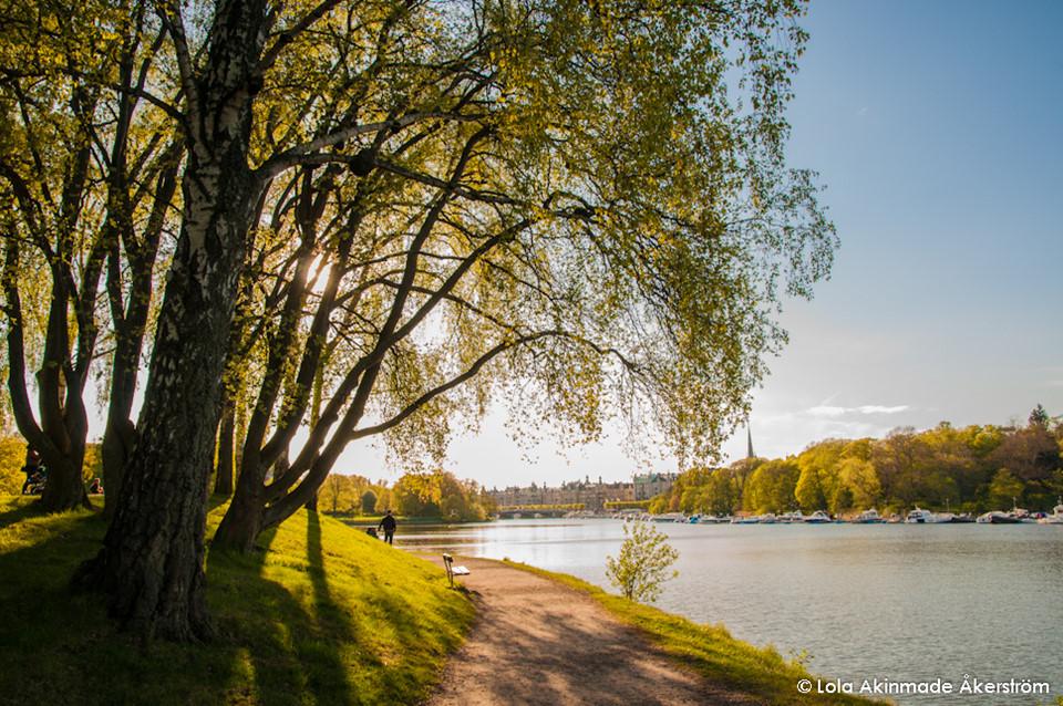 Những lá phổi xanh đẹp như thiên đường giữa lòng thành phố-6