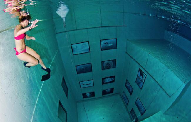 Tròn mắt trước những bể bơi ấn tượng và lạ lùng nhất thế giới-4