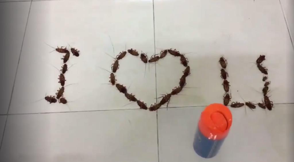 Màn tỏ tình bẩn và hãi hùng nhất quả đất khiến các cô gái sợ khiếp vía-2