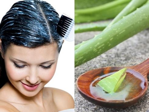 Tạm biệt mùa tóc rụng với thần dược đơn giản dễ làm