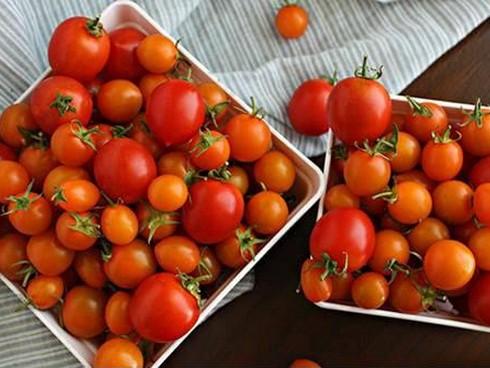 Làm đẹp da bằng cách dùng cà chua đông đá-1