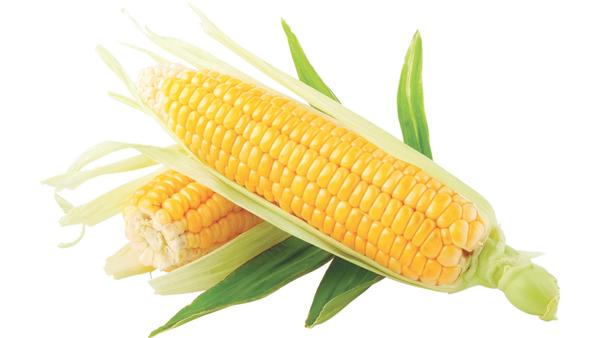 8 món ăn giúp kéo dài tuổi thọ không phải ai cũng biết-3