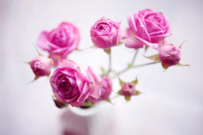 Thứ Hai của bạn 30/10: Tin vui tới tấp đến với Bảo Bình-1