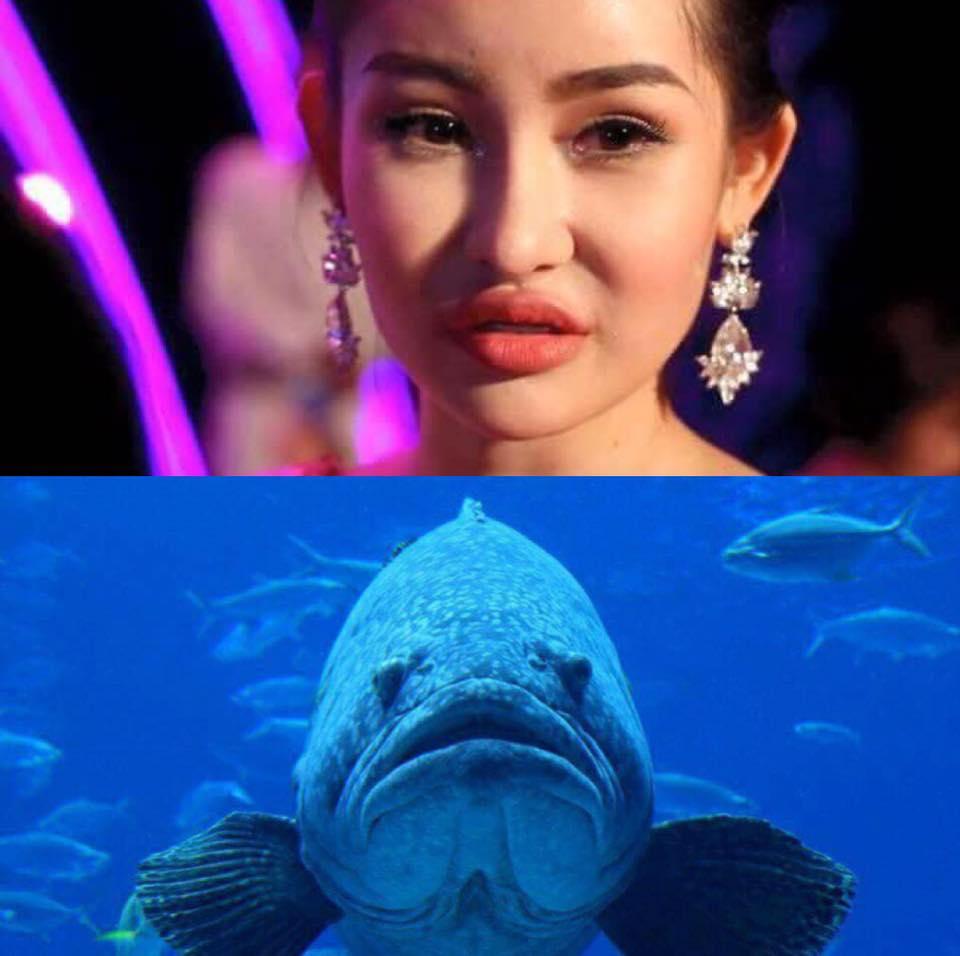 Ca sĩ Thanh Thảo: Dè bỉu nhan sắc Hoa hậu Đại Dương 2017 giống cá La Hán thì thật tội cô ấy-2