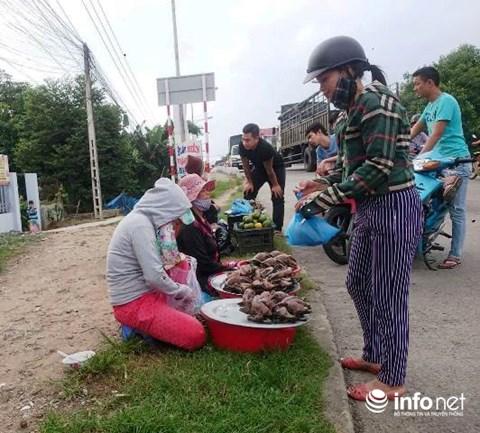 Huế: Kinh hoàng tận diệt chim trời bịt miệng, khâu mắt-13