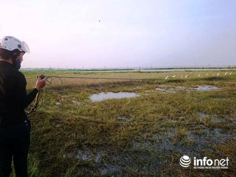 Huế: Kinh hoàng tận diệt chim trời bịt miệng, khâu mắt-5