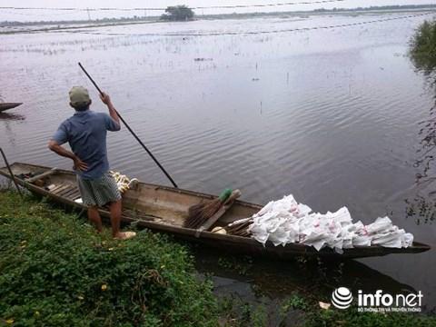 Huế: Kinh hoàng tận diệt chim trời bịt miệng, khâu mắt-7