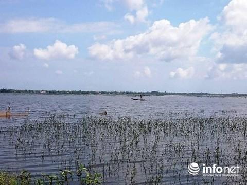 Huế: Kinh hoàng tận diệt chim trời bịt miệng, khâu mắt-8