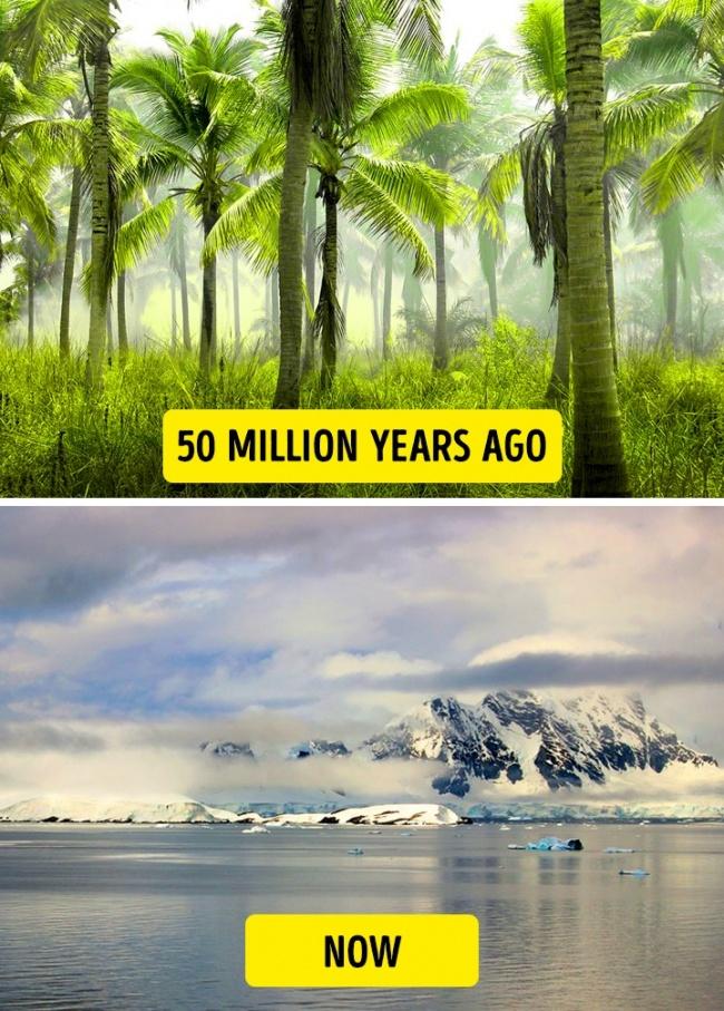 Top những khám phá cực shock về thế giới-2