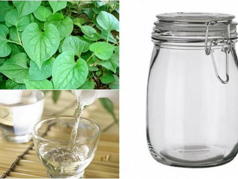 Làm đẹp da từ rau nhiếp cá và rượu gạo-1