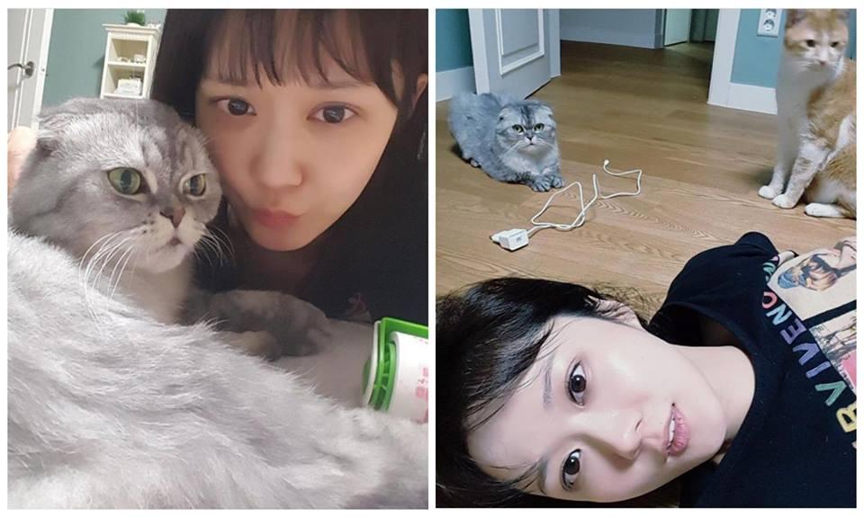 Sao Hàn 31/10: Song Hye Kyo ném 4 lần hoa cưới trong hôn lễ-10