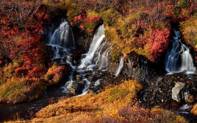 Những thác nước kì vĩ ở Hraunfossar (Iceland) trở nên ấn tượng hơn nhờ sắc thu ấm áp ngập tràn.