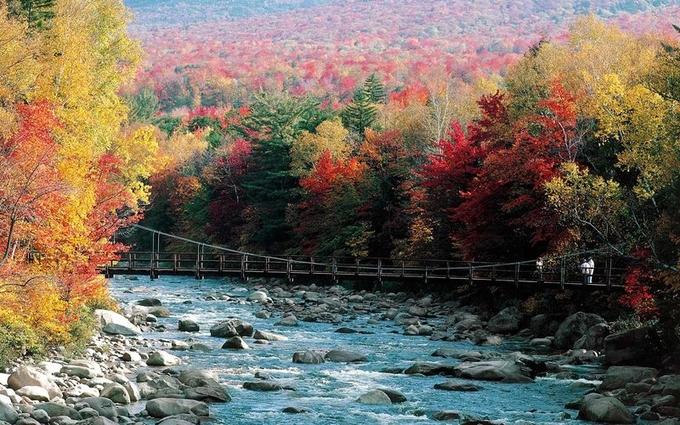 Dành một ngày ở White Mountains, New Hampshire (Mỹ) và thưởng lãm con đường dài 30 km ngập tràn trong sắc thu vàng đỏ đẹp tới nao lòng dọc con đường cao tốc Kancamagus.