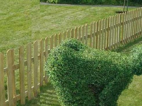 Ông hàng xóm 'đa năng'