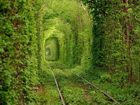 5 cây cầu ấn tượng bắc qua sông Hàn ở Đà Nẵng-7