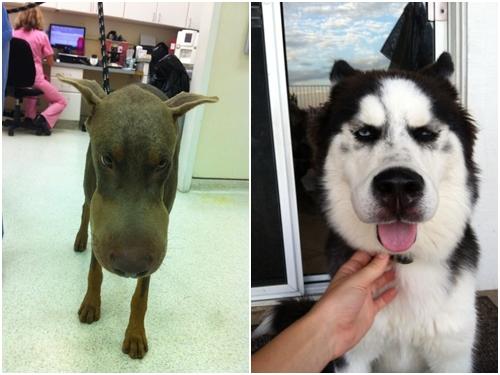 Thuốc lá đã cứu kẻ buôn lậu như thế nào?-1