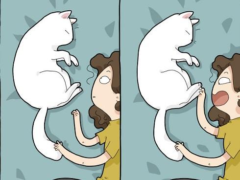 Lý do người yêu không có nhưng mèo nhất định phải nuôi một con!