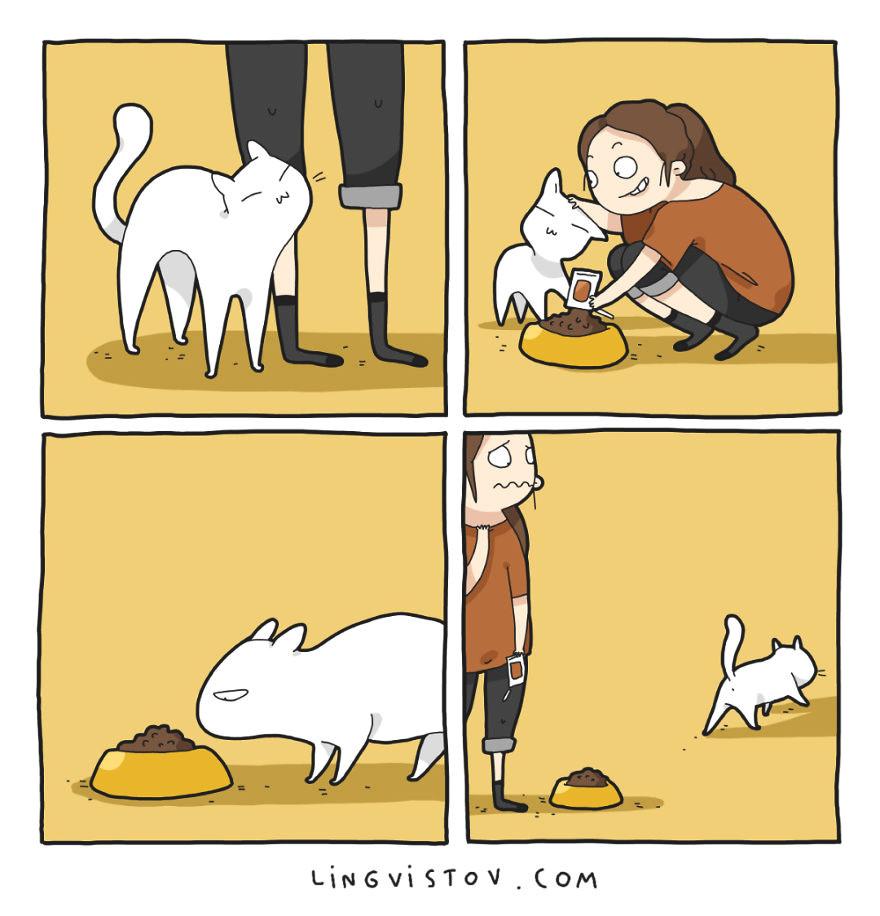 Lý do người yêu không có nhưng mèo nhất định phải nuôi một con!-5