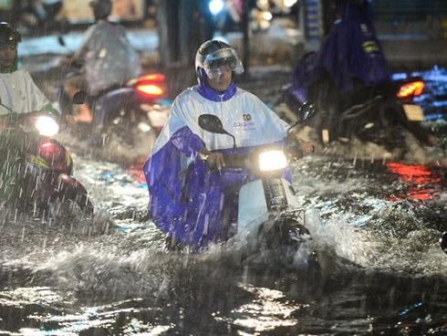 Tin bão mới nhất: Bão số 12 (Damrey) giật cấp 14 hướng thẳng vào Nam Trung Bộ-2