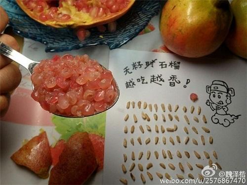 Chết cười với những ý tưởng sáng tạo của người rảnh việc-4