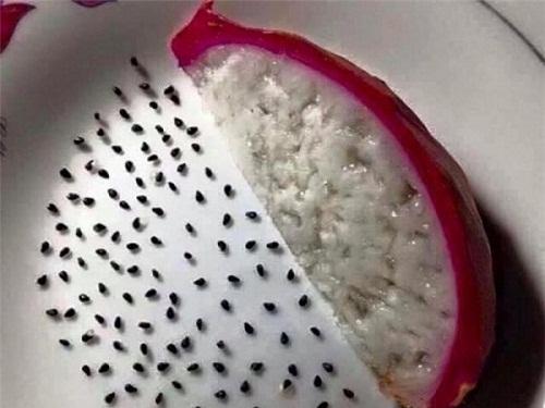 Chết cười với những ý tưởng sáng tạo của người 'rảnh việc'