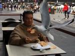 Tin sao Việt 2/11: Đàm Vĩnh Hưng 'đanh đá' đáp trả khi bị đàn chim lao đến cướp thức ăn
