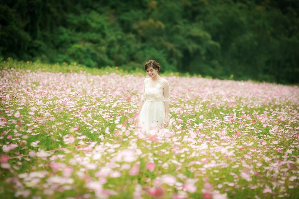 Lịm tim giữa thung lũng hoa Bắc Sơn bồng bềnh ở xứ Lạng-2