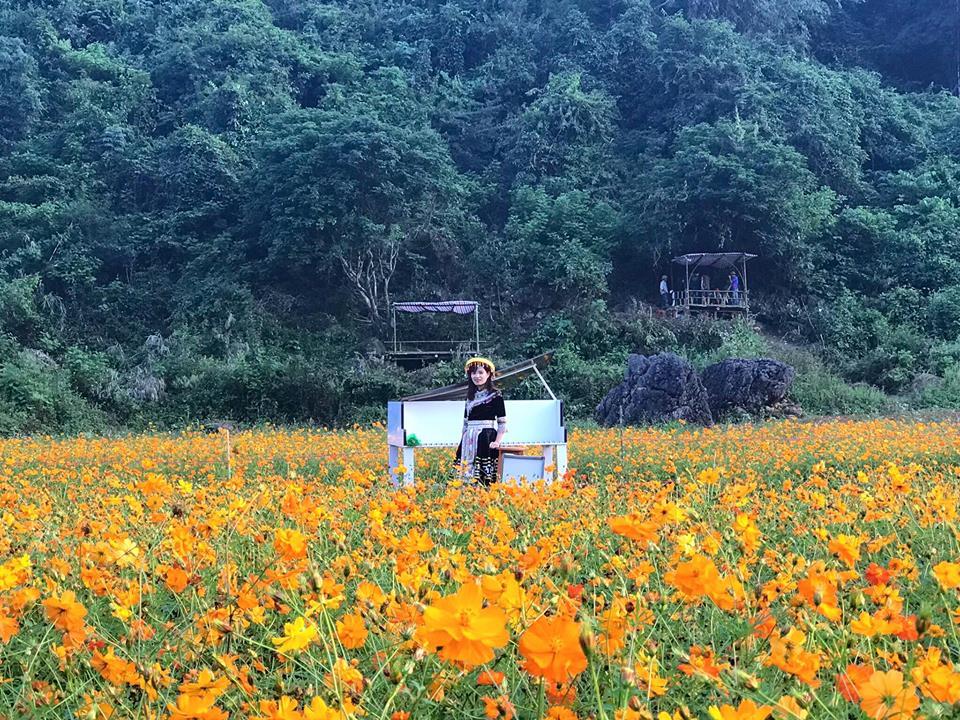 Lịm tim giữa thung lũng hoa Bắc Sơn bồng bềnh ở xứ Lạng-5