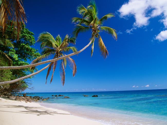 Những địa điểm nghỉ dưỡng được các đại gia ưa chuộng-5