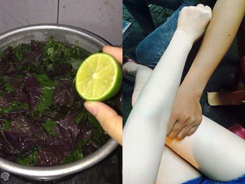 Hết sạch mụn lưng, da trắng bật tông với công thức tắm bằng lá tía tô + nước chanh