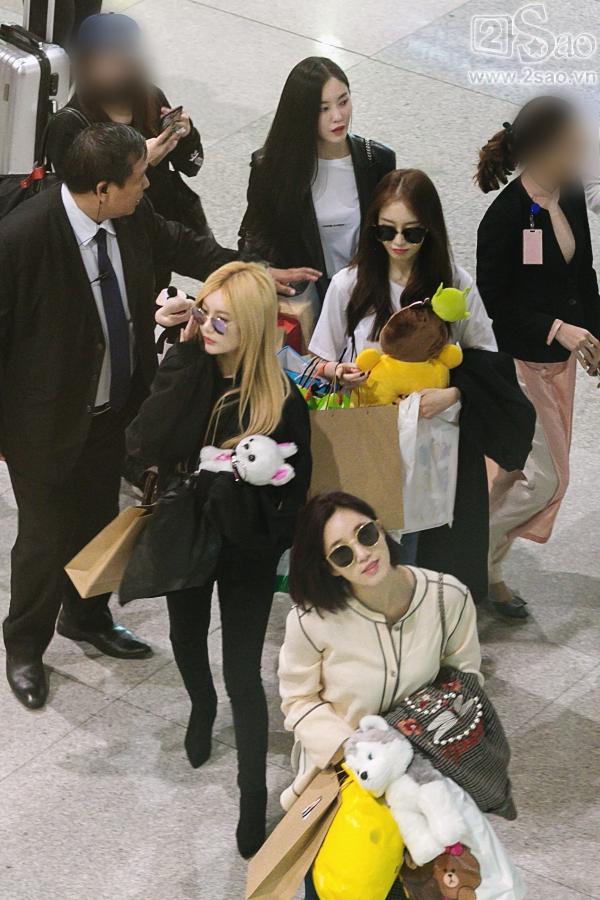 100 bảo vệ giúp T-ara an toàn thoát khỏi vòng vây fan Việt-5