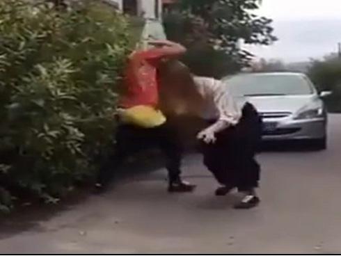 Chó mèo và cuộc chiến không có hồi kết-6